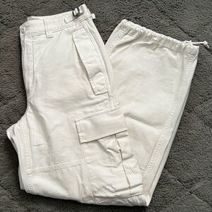 Aritzia Supply Cargo Pant